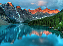 揭秘51爆料网：从谣言到真相，让真相大白于天下